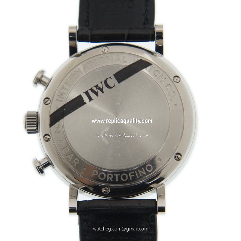 IWC IW391036 3