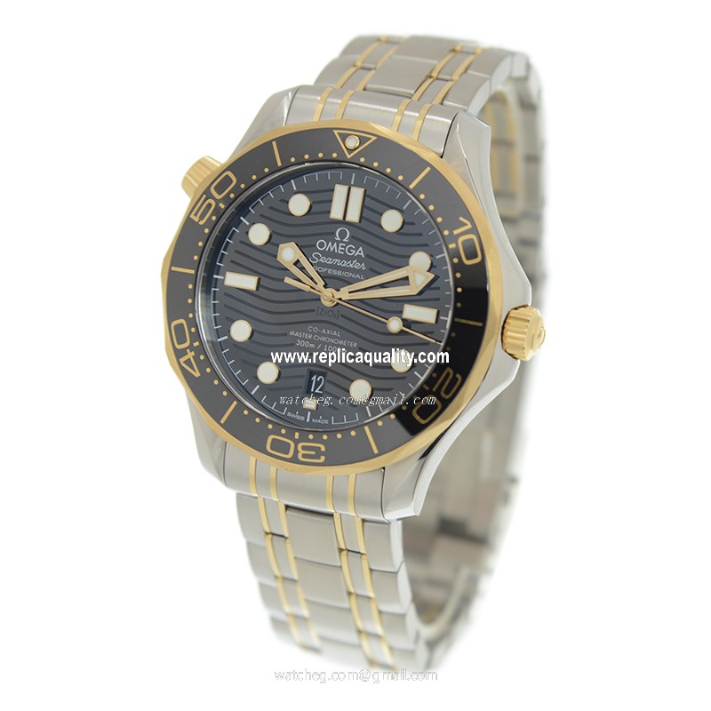 Omega 210.20.42.20.01.002 3