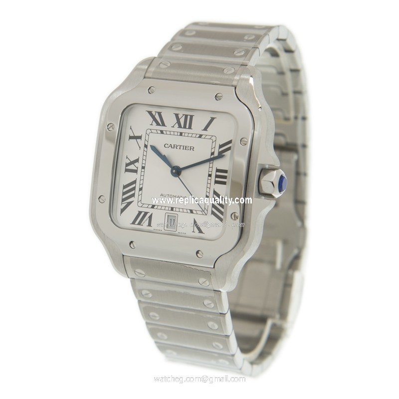 Cartier WSSA0018  3