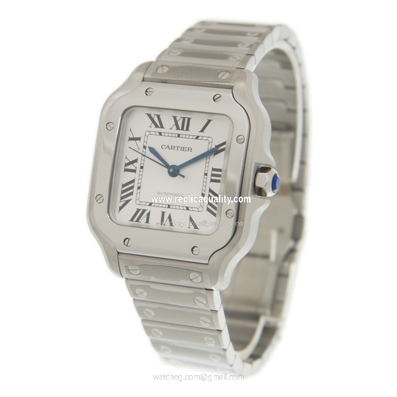 Cartier WSSA0029 3