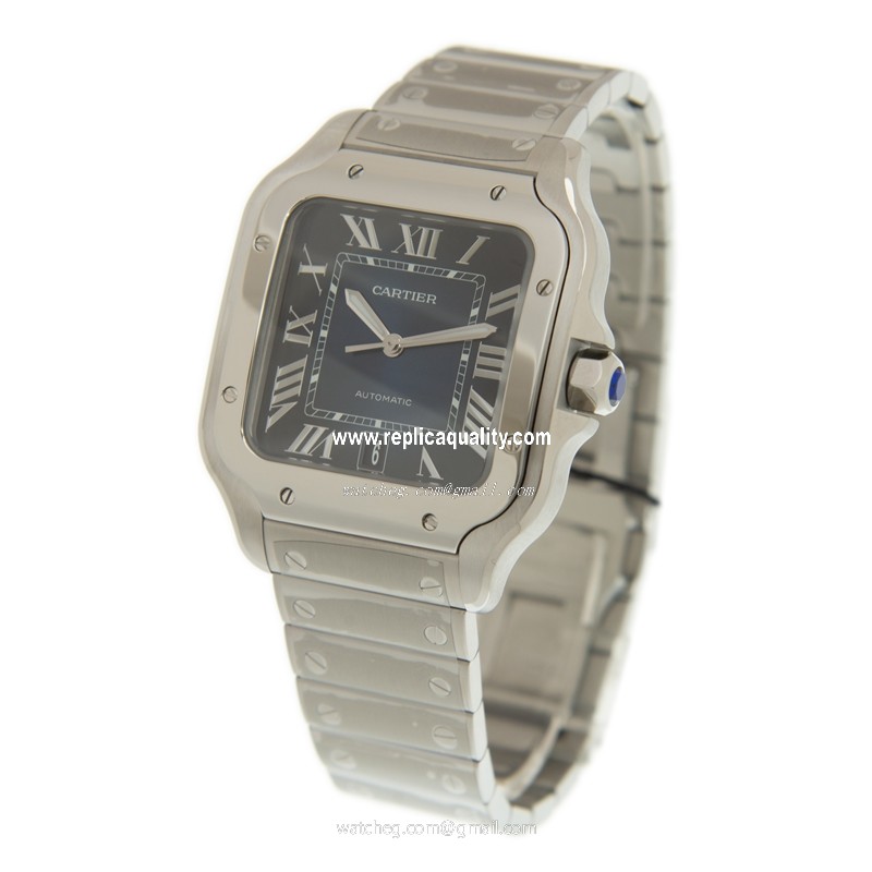 Cartier WSSA0030 3