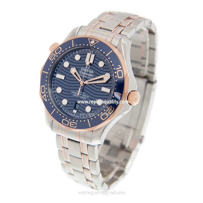 Omega 210.20.42.20.03.002 3