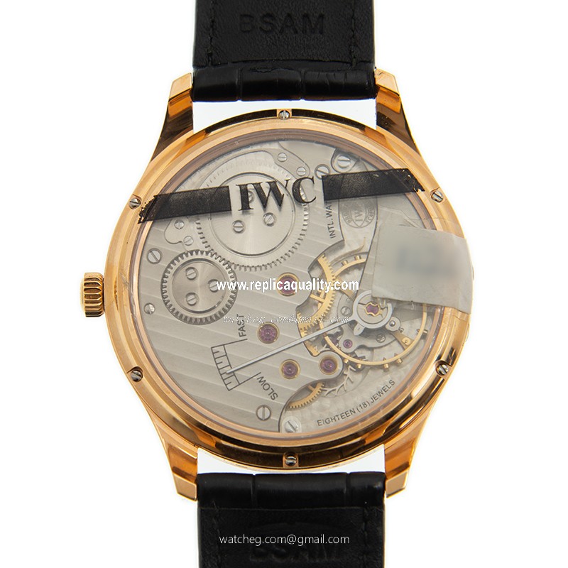 IWC IW545406 3