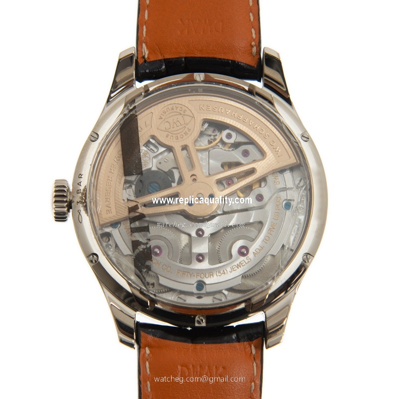 IWC IW503301 3