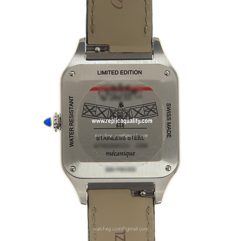 Cartier W2SA0015 3