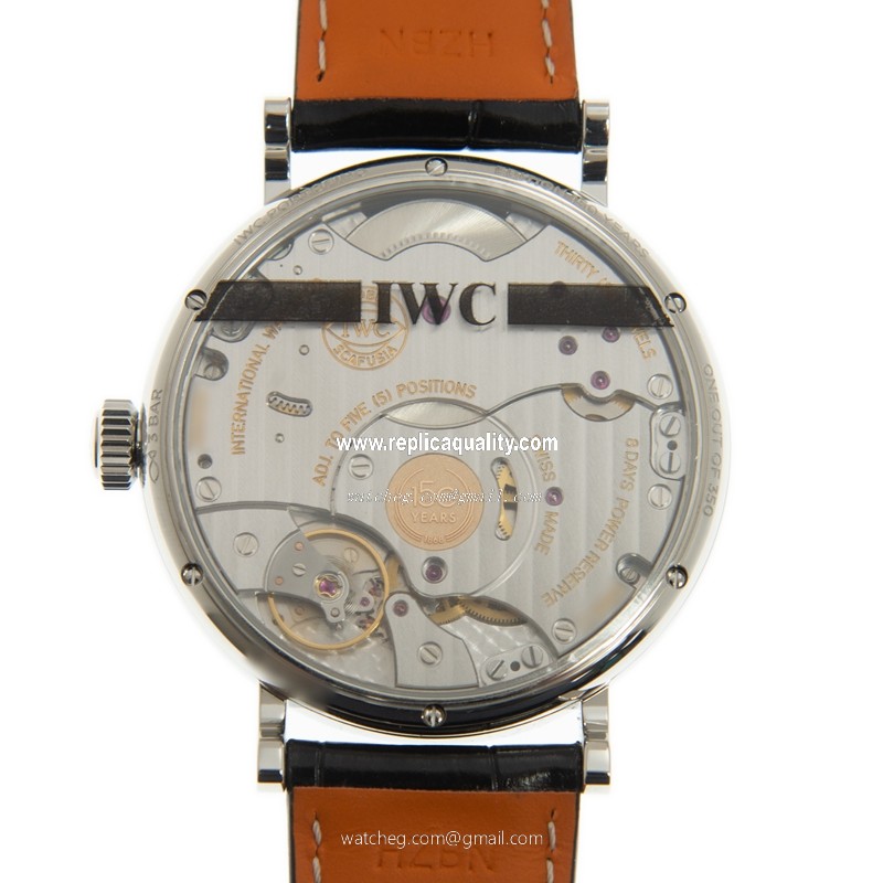 IWC IW516405 (LTD 350 PCS) 3