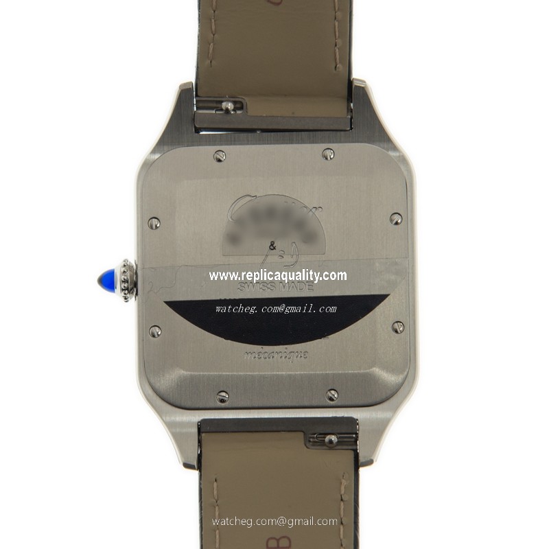 Cartier W2SA0017 3