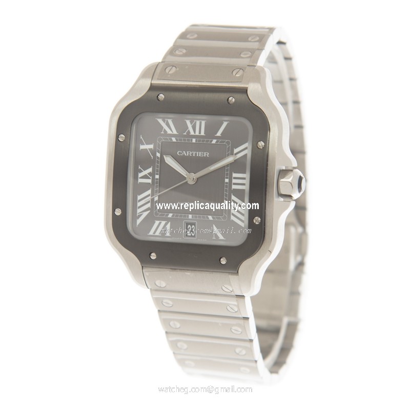 Cartier WSSA0037 3