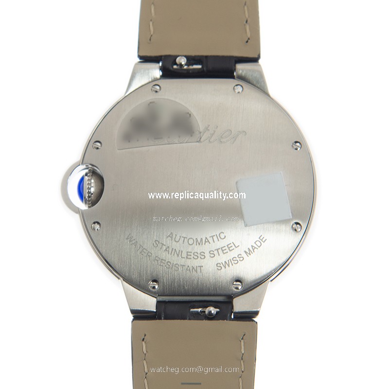 Cartier WSBB0028 3