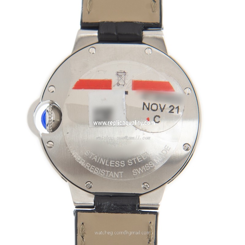 Cartier WSBB0034 3