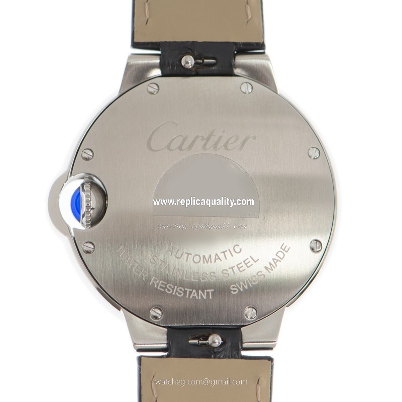 Cartier WSBB0030 3