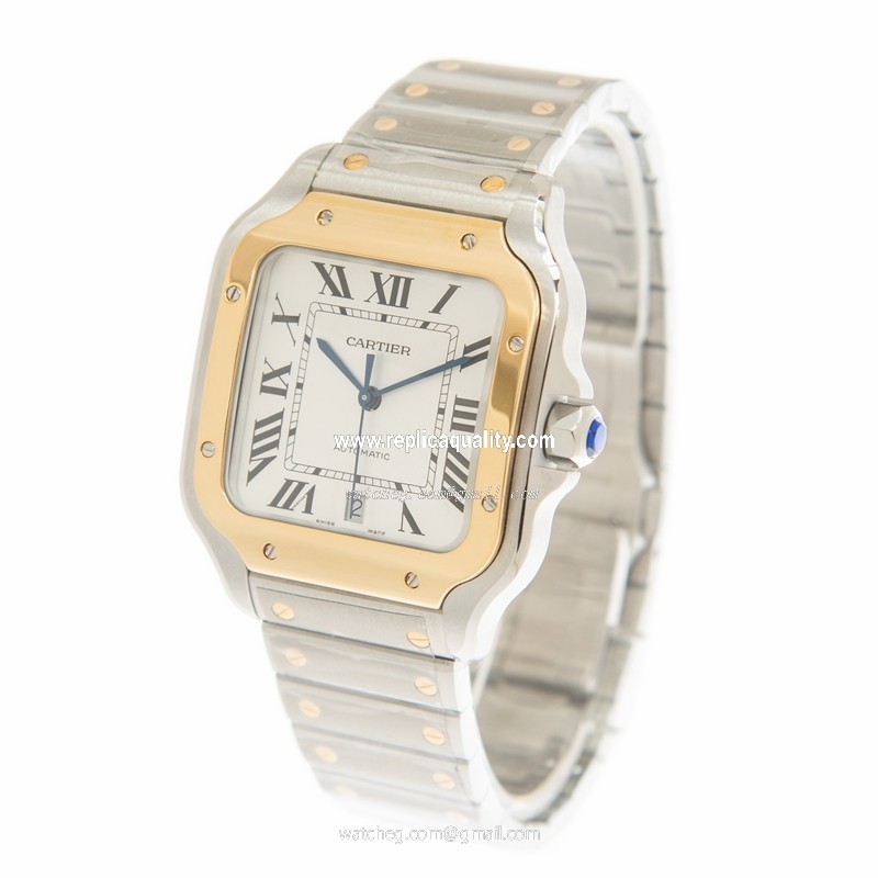 Cartier W2SA0009 3