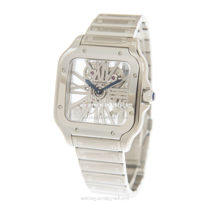 Cartier WHSA0015  3