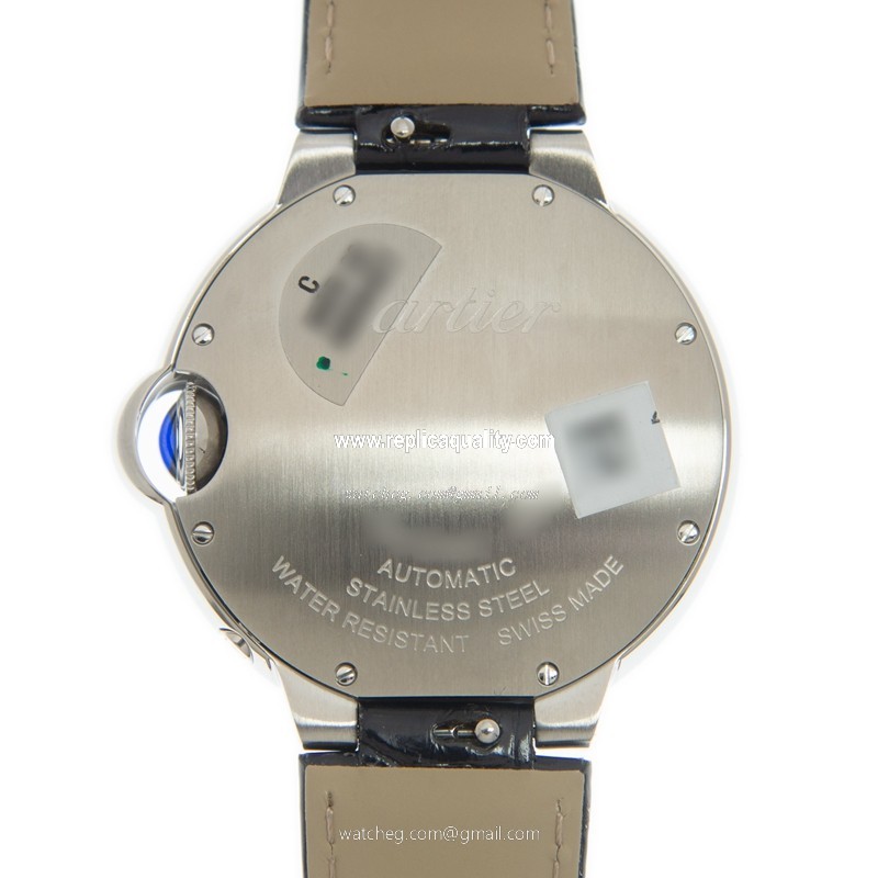 Cartier WSBB0029 3