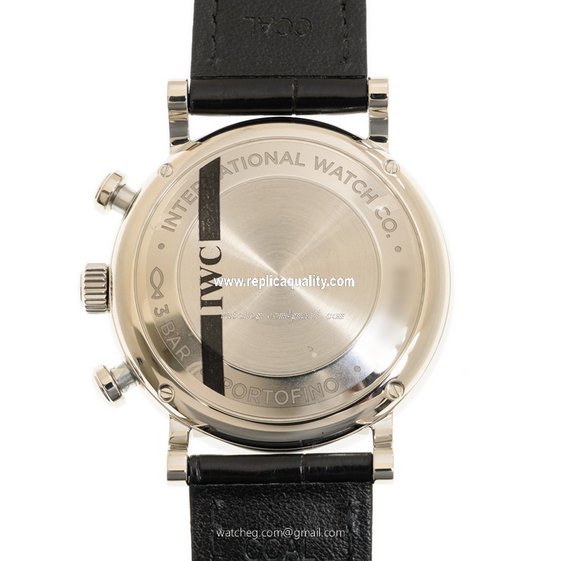 IWC IW391406 3