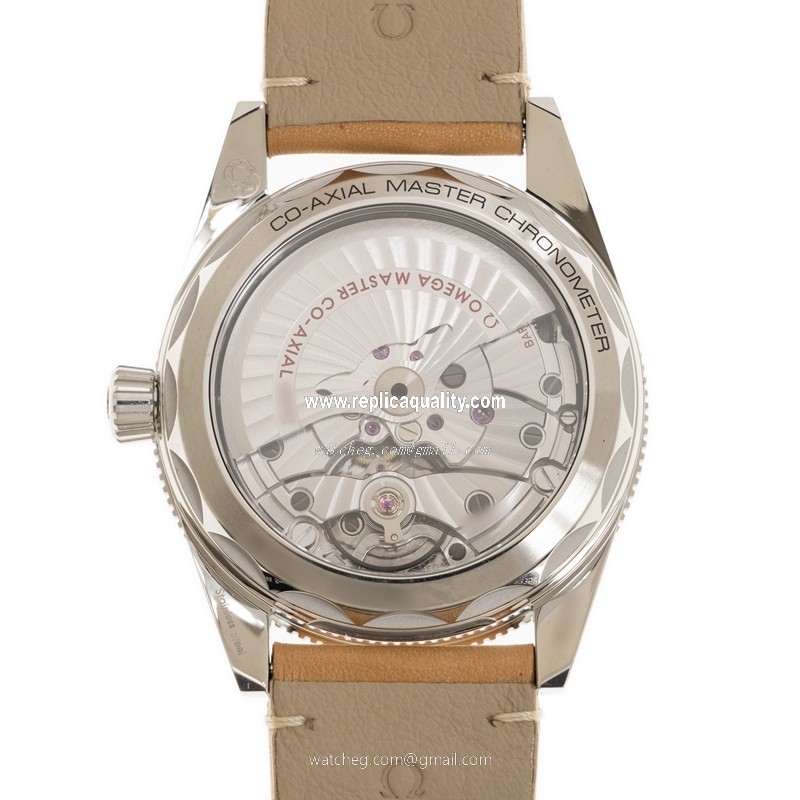 Omega 234.32.41.21.03.001 3