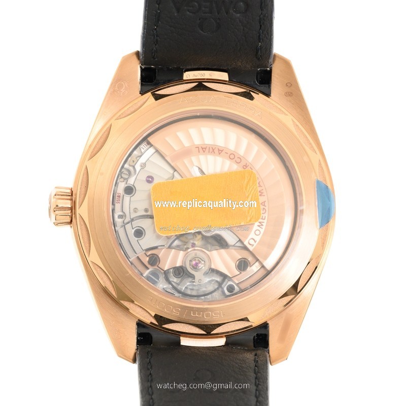 Omega 220.53.43.22.02.001 3