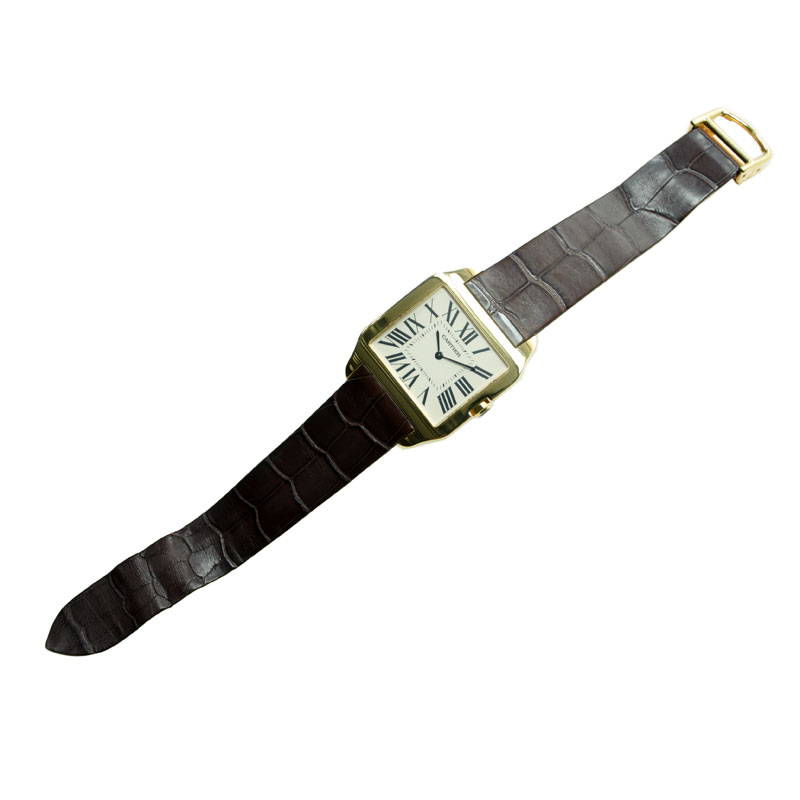 Cartier W2008751 4