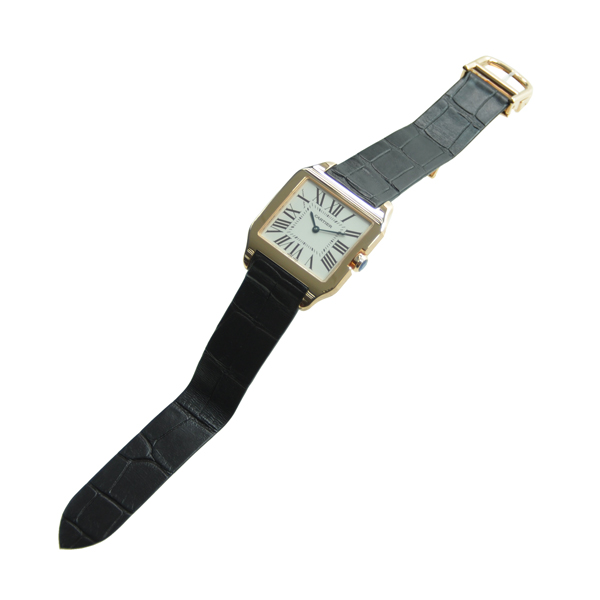 Cartier W2009251 4