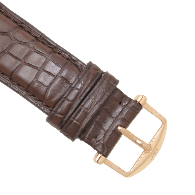 IWC IW391021 4
