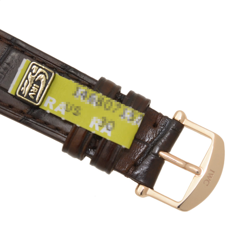IWC IW458106 4