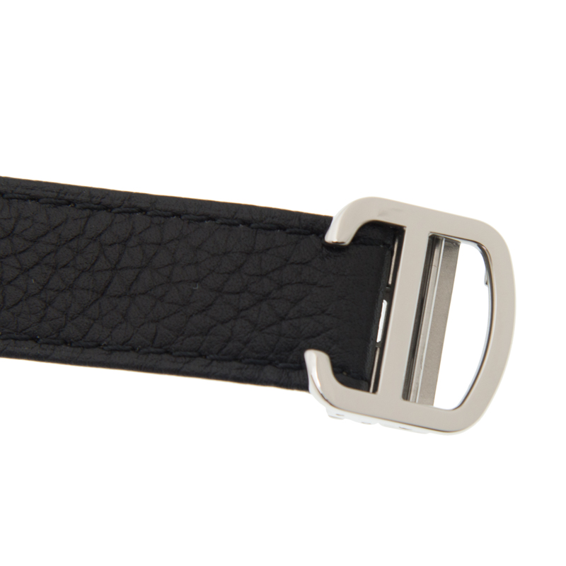 Cartier WSTA0030 4