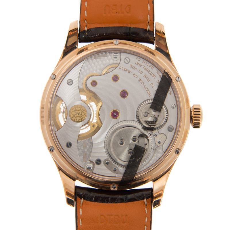 IWC IW546302 4