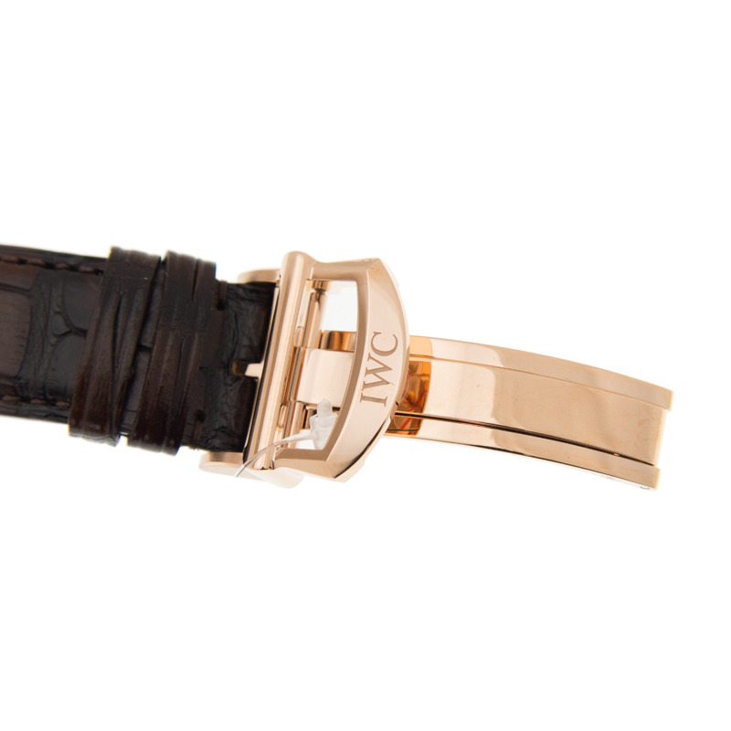 IWC IW392101 4