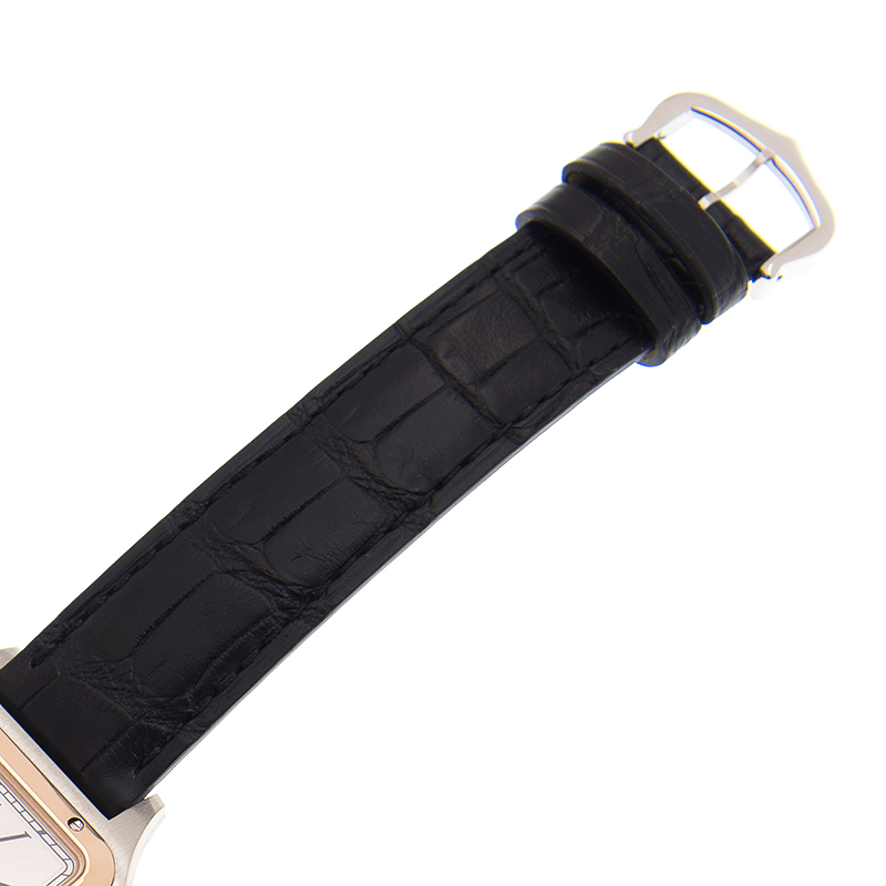 Cartier W2SA0011 4