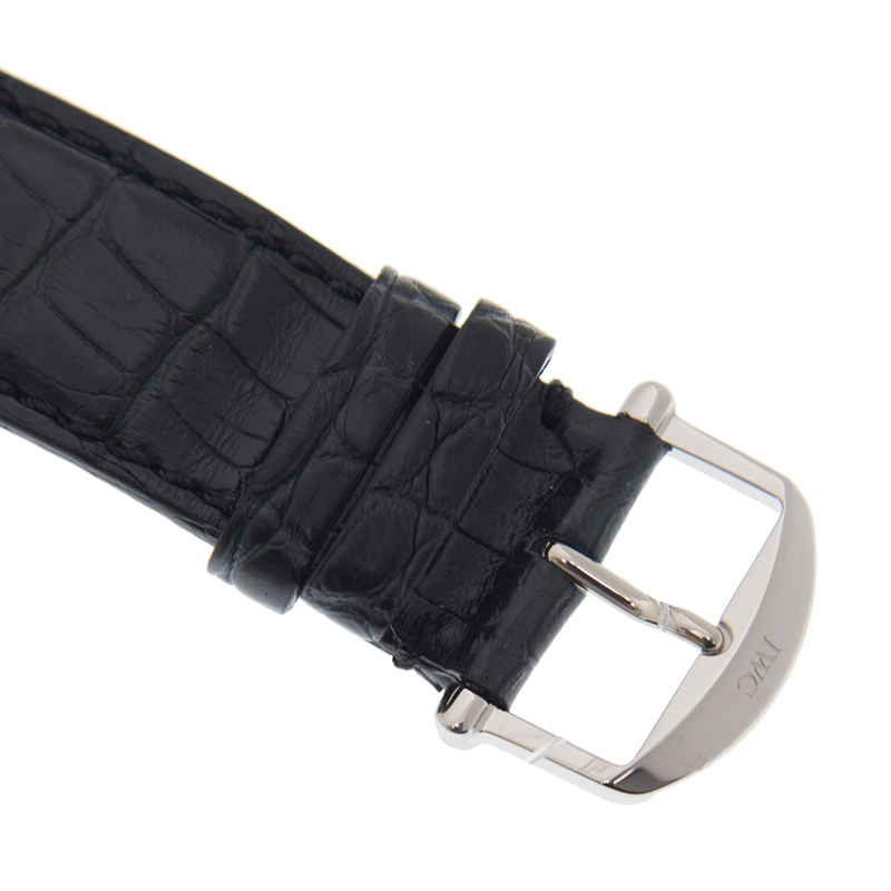 IWC IW391029 (IW391008) 4