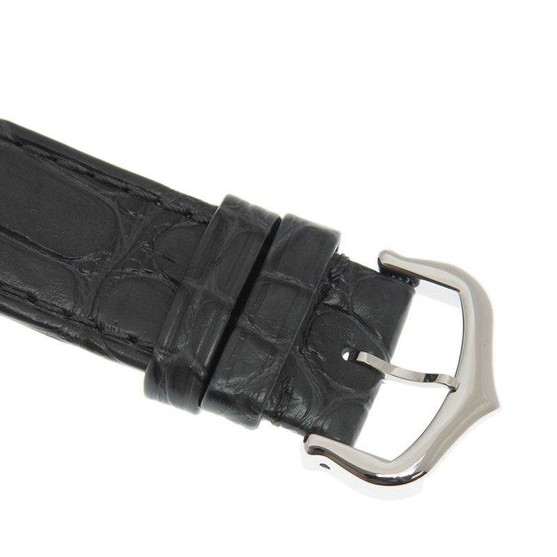 Cartier W2SA0015 4