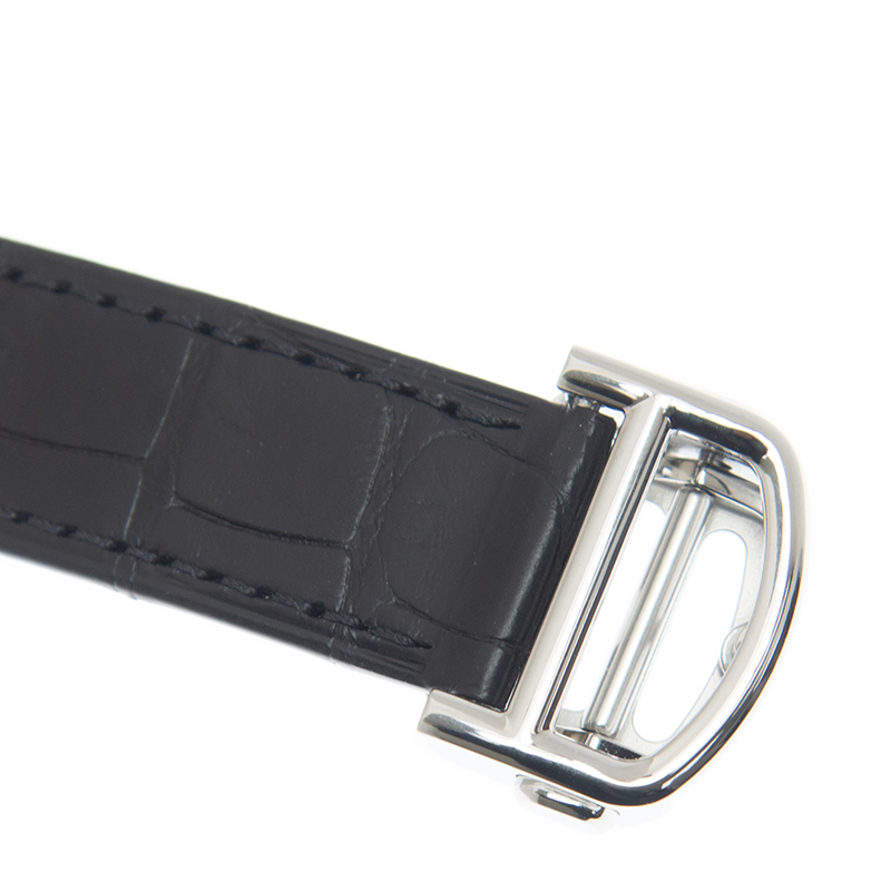 Cartier WSBB0028 4