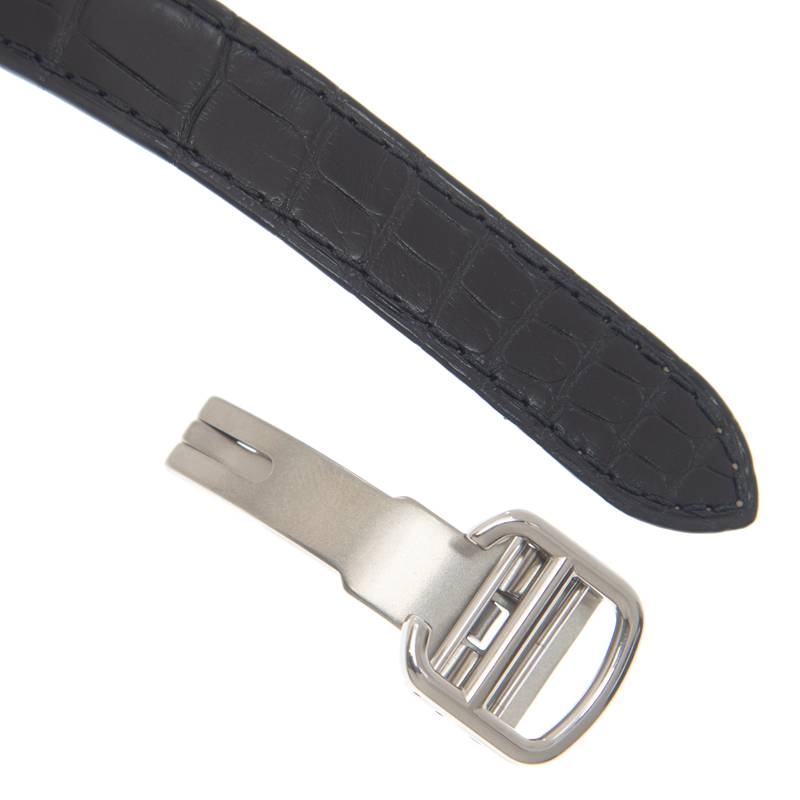 Cartier WSBB0034 4