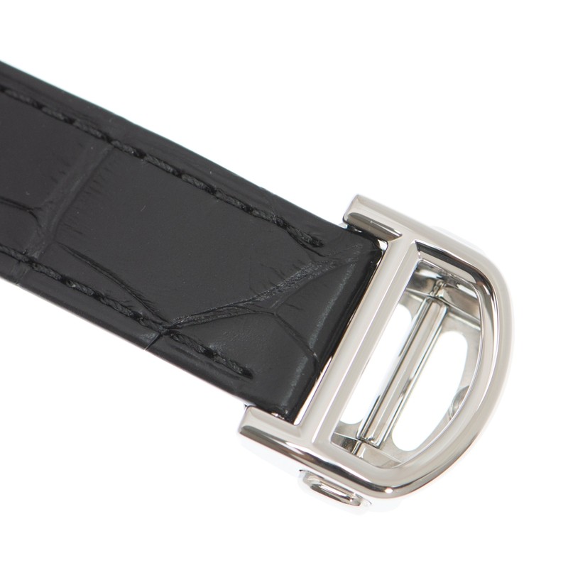 Cartier WSBB0030 4