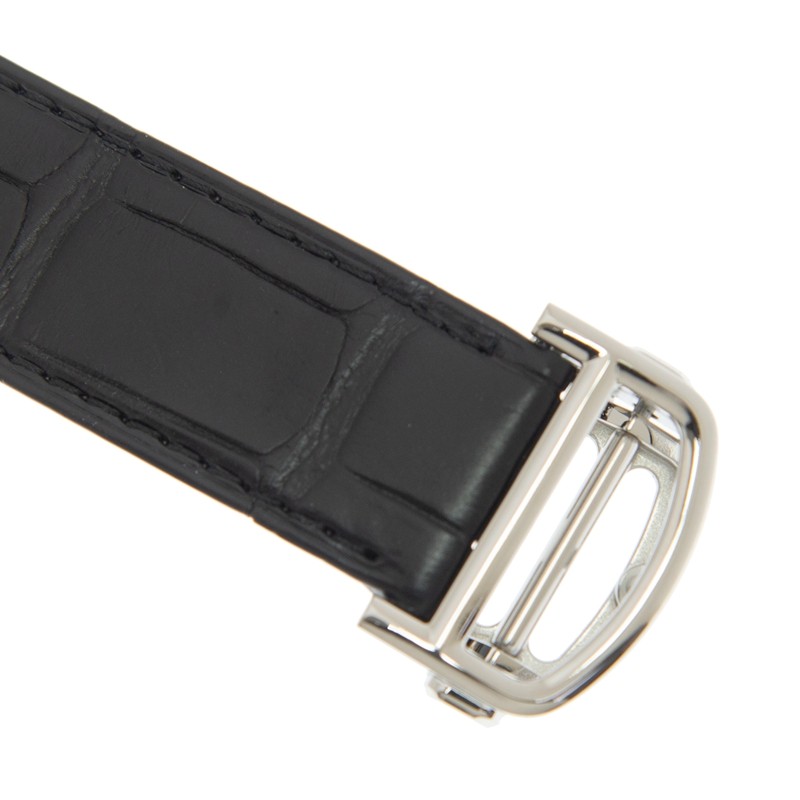 Cartier WSBB0026 4