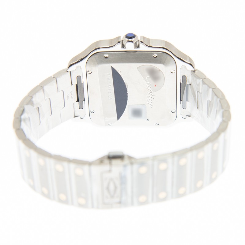 Cartier W2SA0009 4