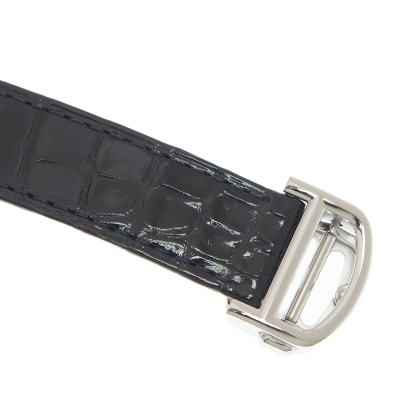 Cartier WSBB0029 4