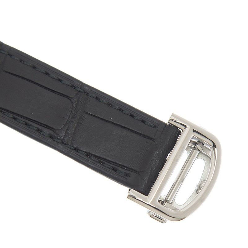 Cartier WSBB0039 4