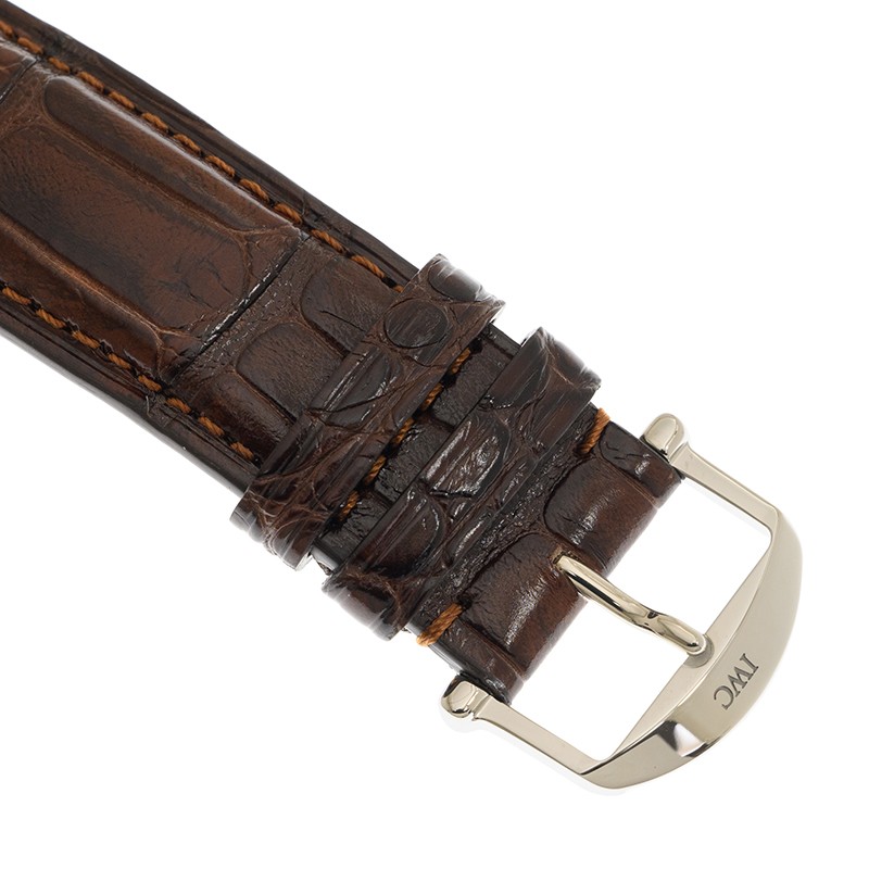 IWC IW391404  4