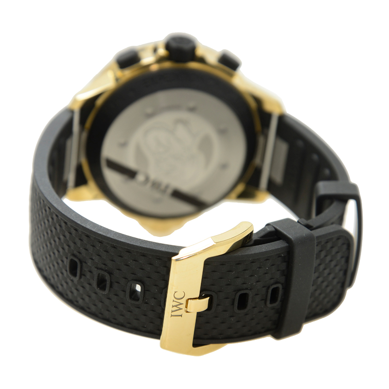 IWC IW379503 5