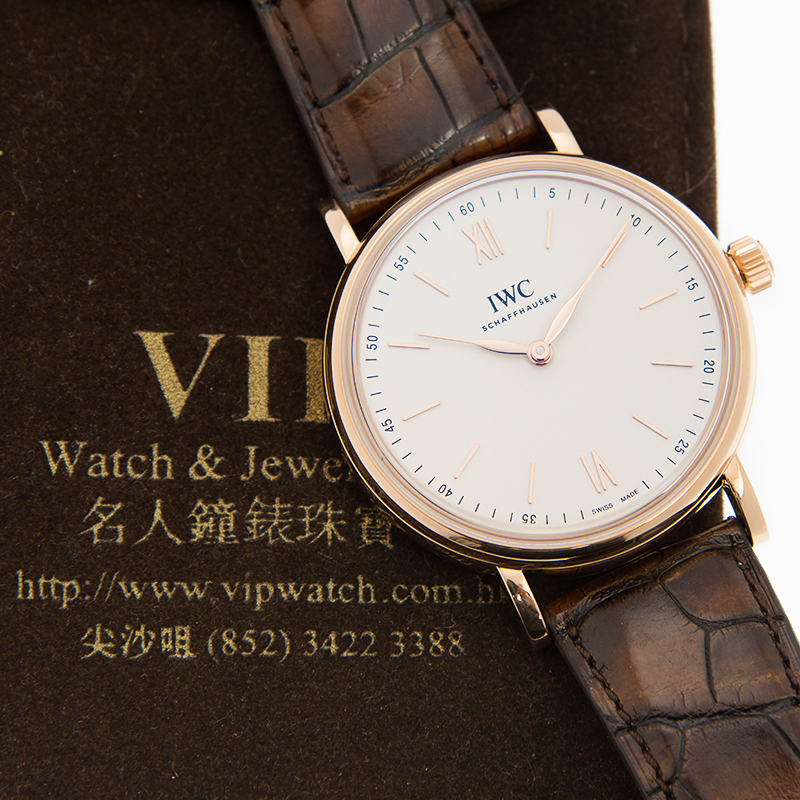 IWC IW511102 5