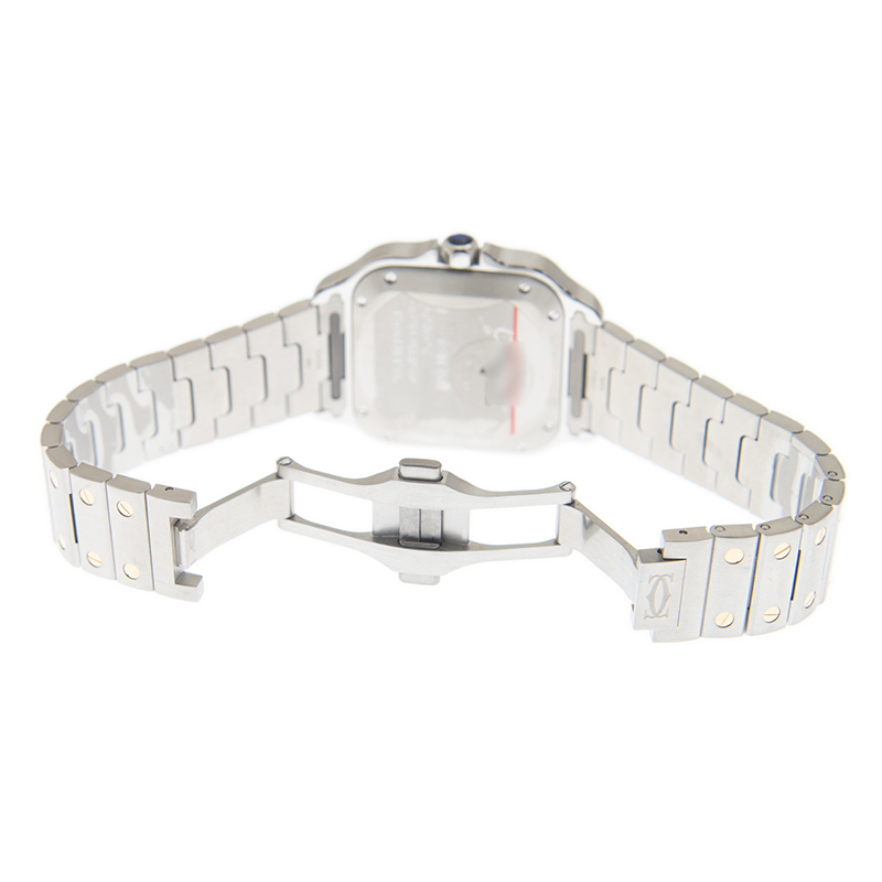 Cartier W2SA0016  5