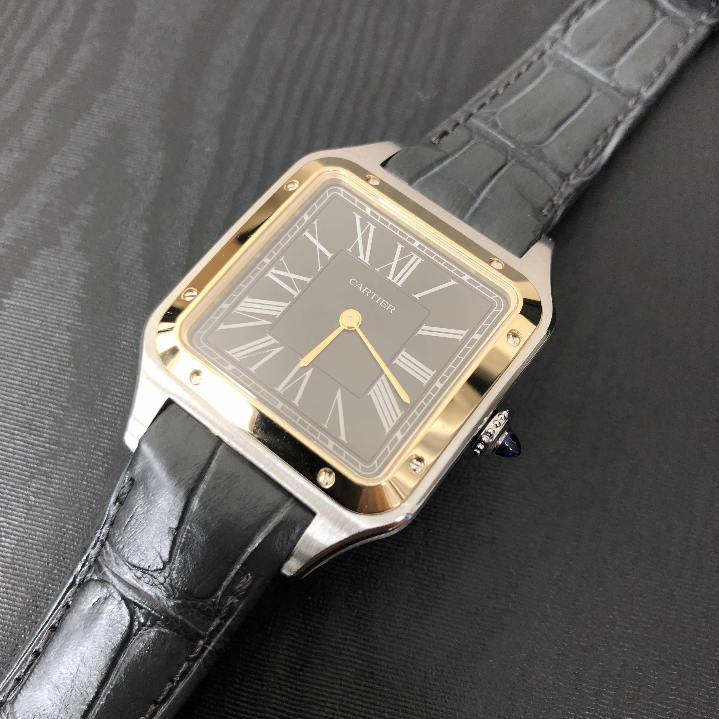 Cartier W2SA0015 5