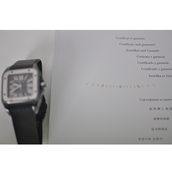 Cartier W2020008 6