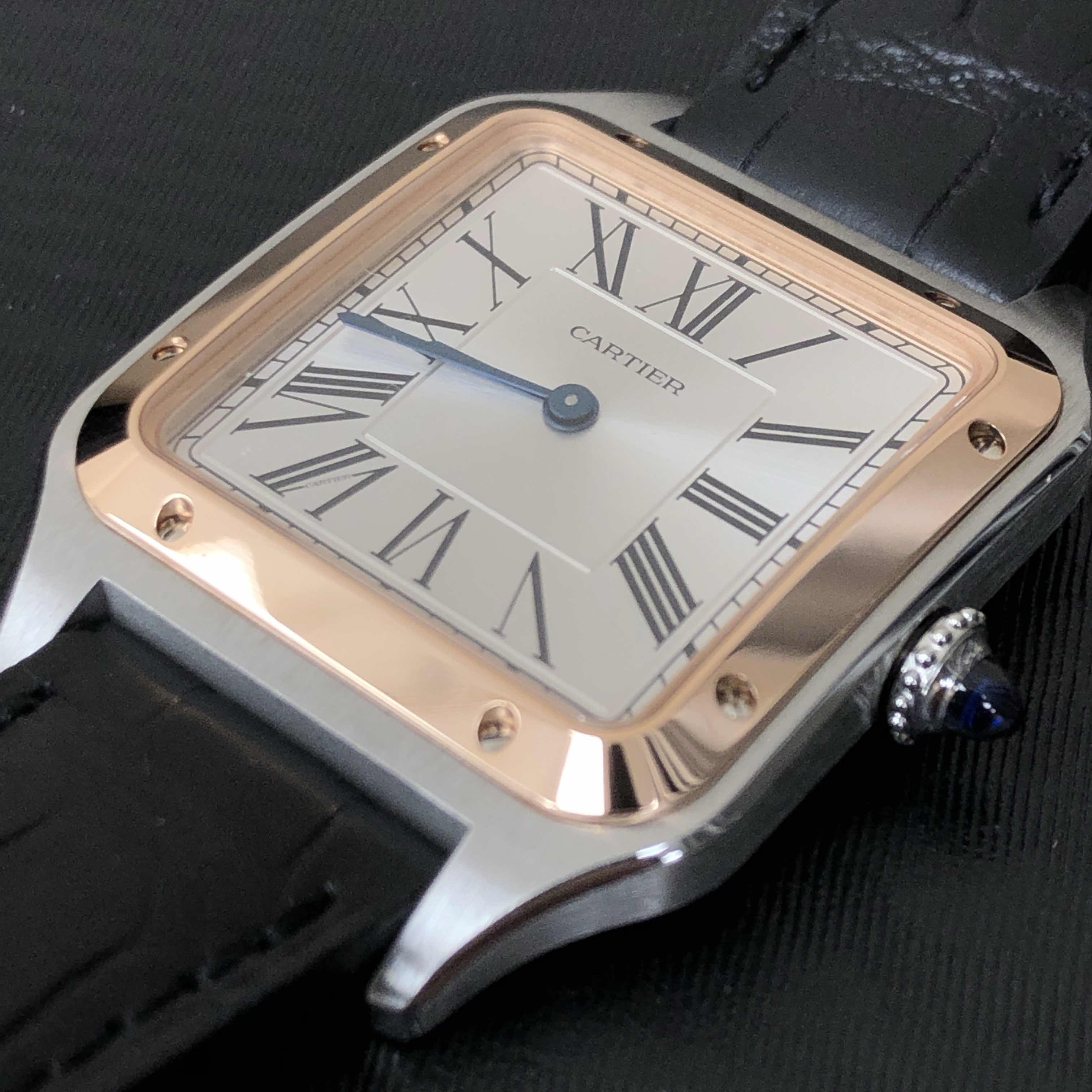 Cartier W2SA0011 6