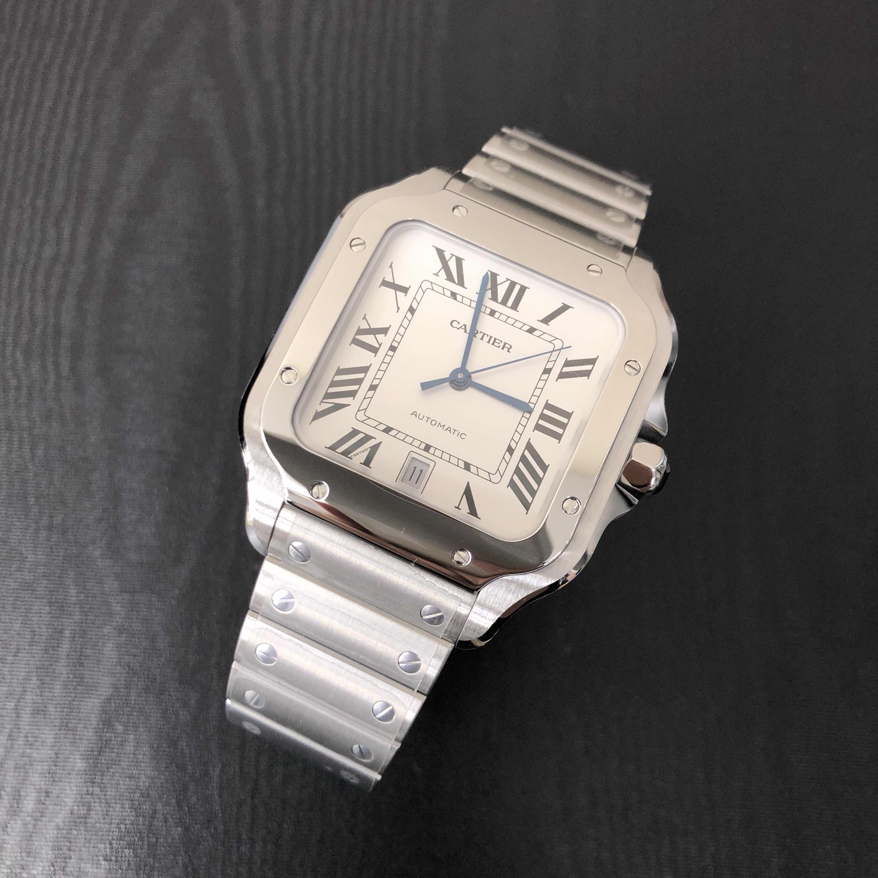 Cartier WSSA0018  6