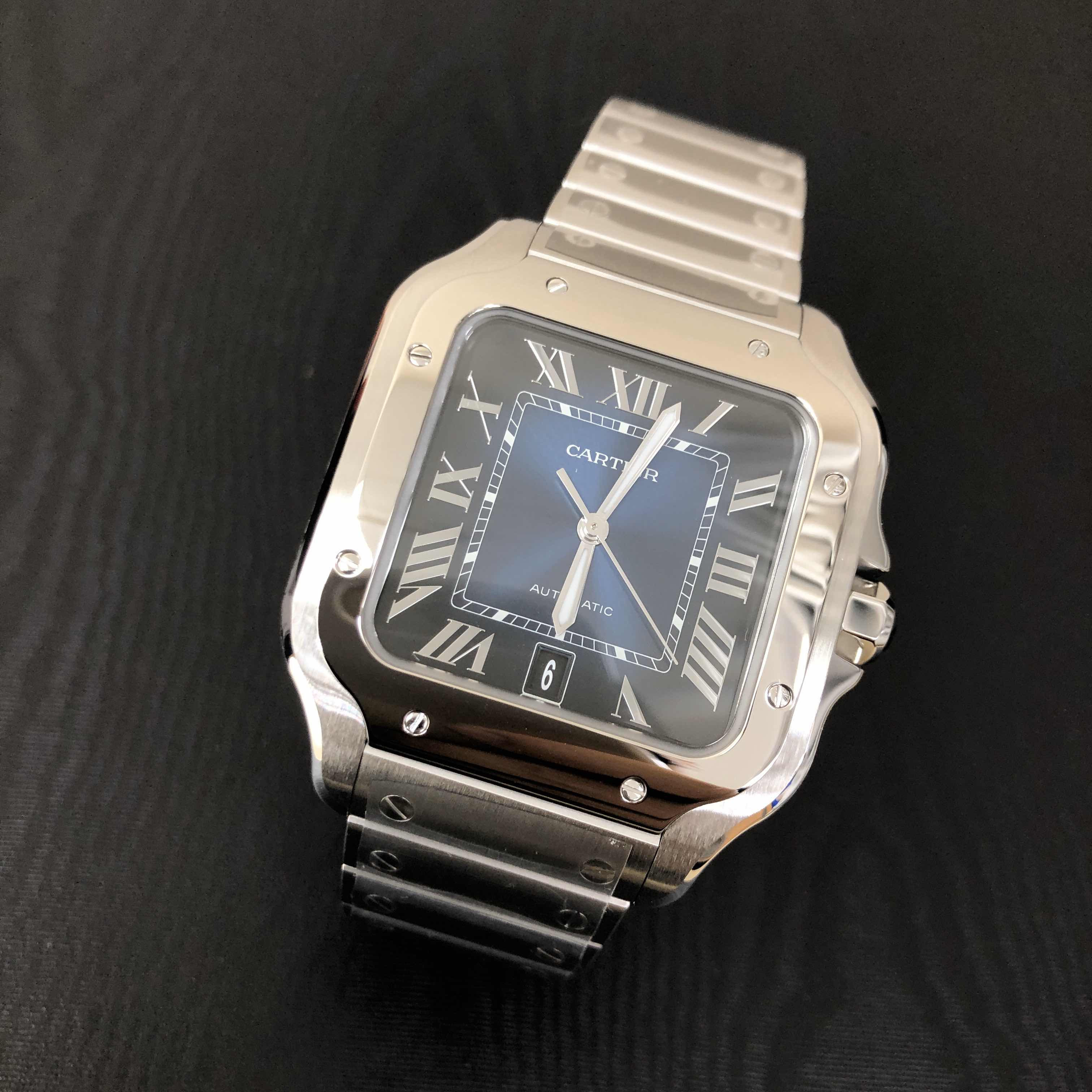 Cartier WSSA0030 6
