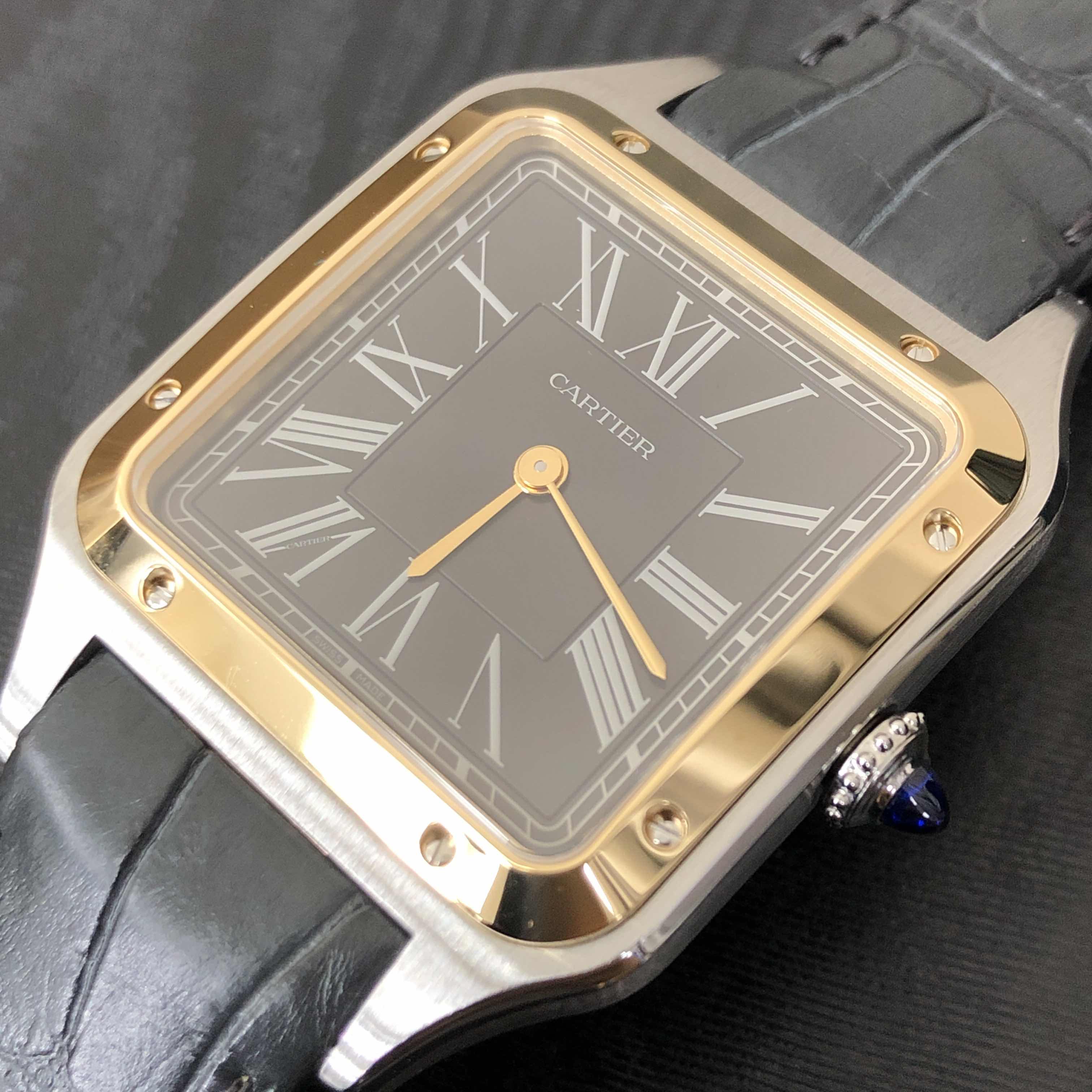 Cartier W2SA0015 6