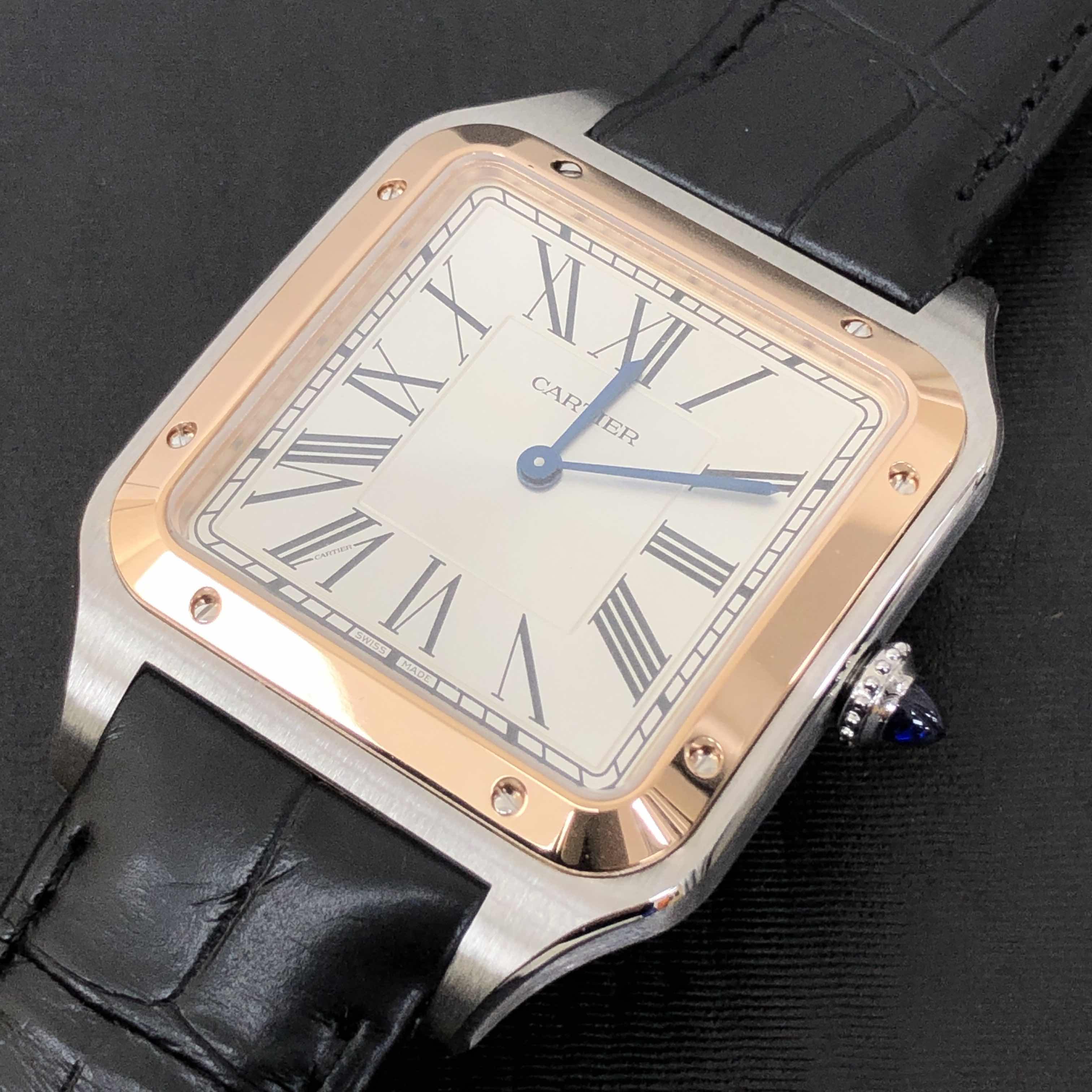 Cartier W2SA0017 6