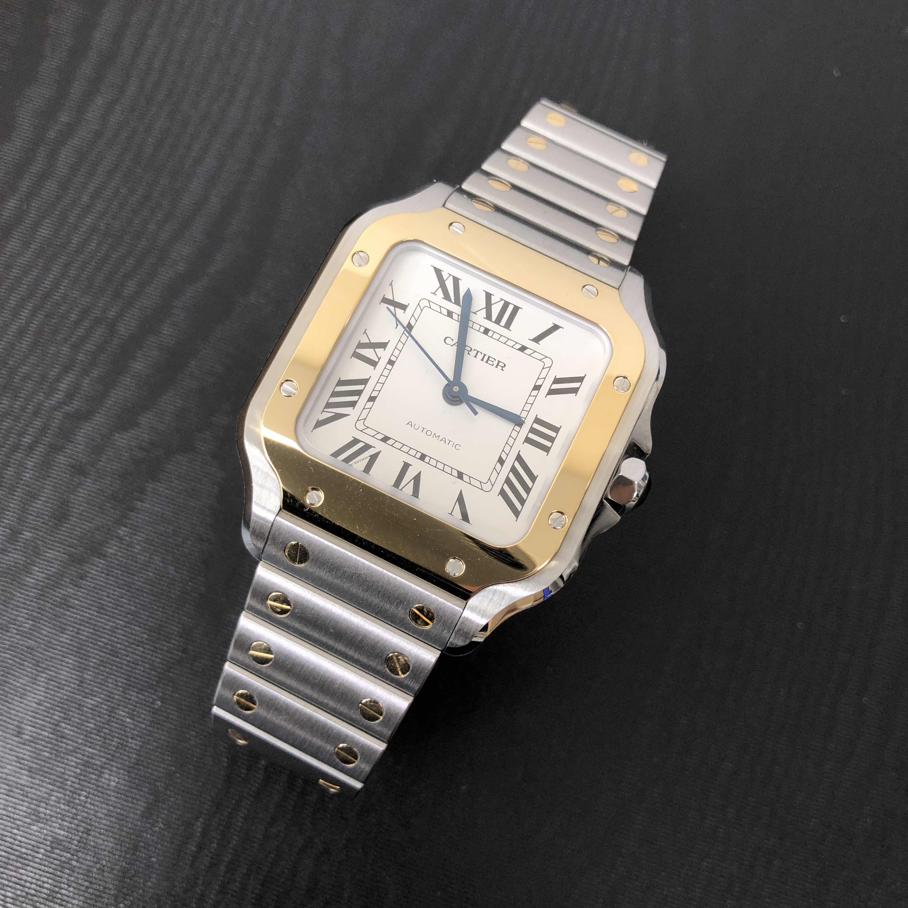 Cartier W2SA0016  6